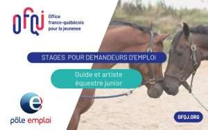 OFQJ stage équestre