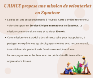 adice volontariat